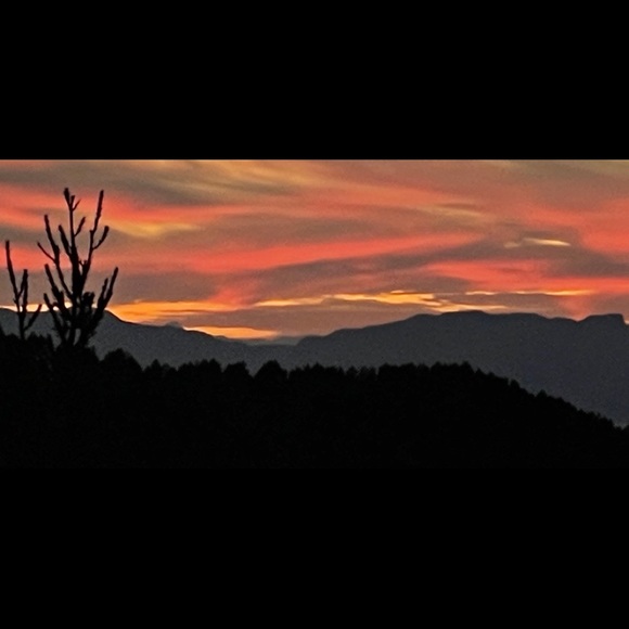 Meet your Posher, Ruth - Picture 1 of 1